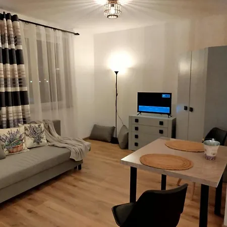 Lawendowy Apartment *