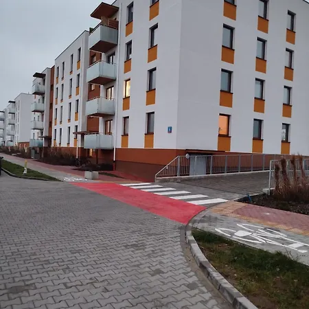 Lawendowy * Wieliszew