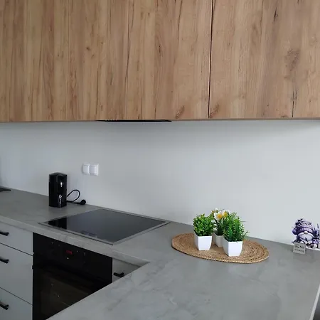 Apartament Lawendowy Wieliszew