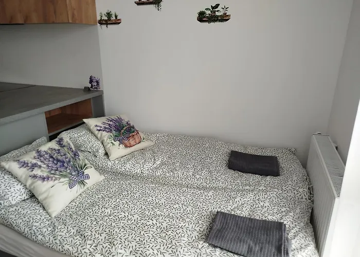 Apartament Lawendowy *